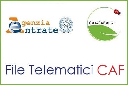 File Telematici CAF